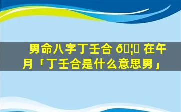男命八字丁壬合 🦄 在午月「丁壬合是什么意思男」